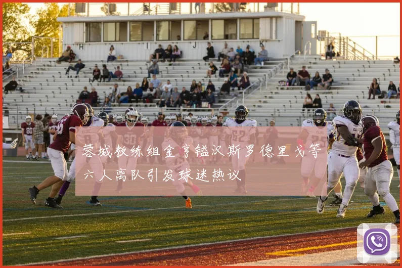 蓉城教练组金亨镒汉斯罗德里戈等六人离队引发球迷热议