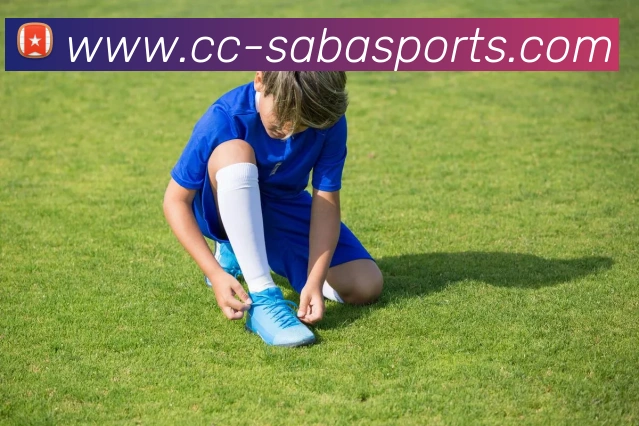 沙巴体育平台生态图